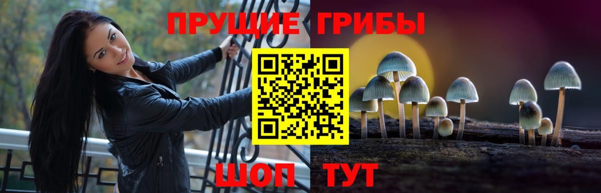 Псилоцибиновые грибы ЛСД Богданович